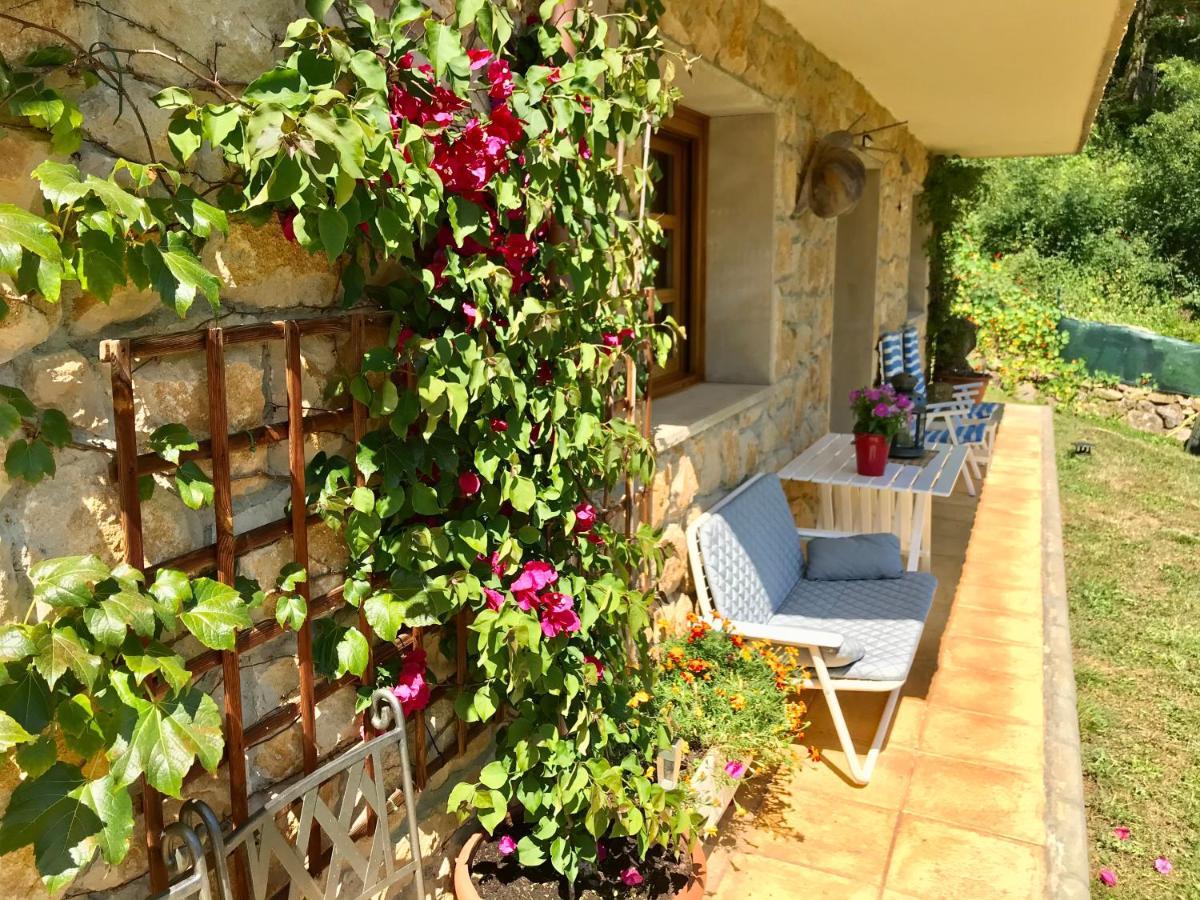 Loft 80 mts en un entorno natural. Mieres  Exterior foto